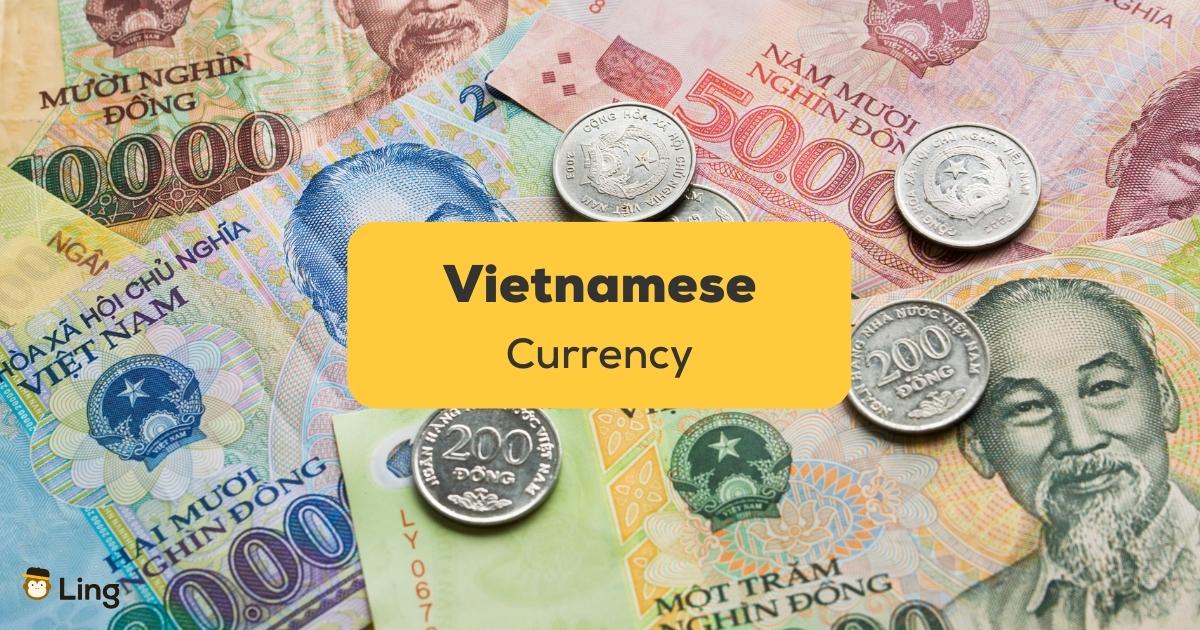 Vietnamese currency