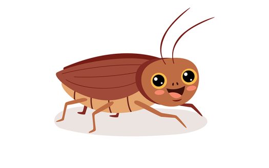 Cockroach eradication