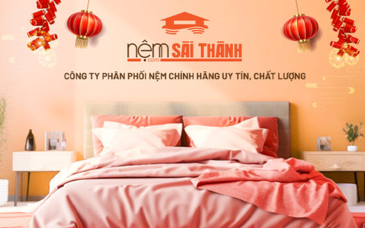 Nem Sai Thanh