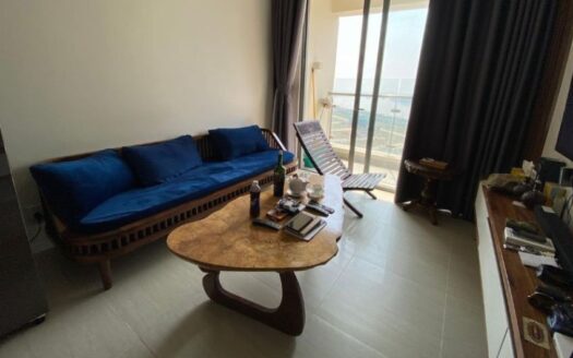 TD01182 | 1BR APARTMENT FOR RENT IN CANARY, DISTRICT 2