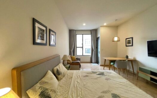 XOC0006 | COZY STUDIO FOR RENT IN THE TRESOR XOM CHIEU WARD, DISTRICT 4